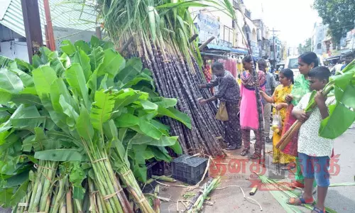 பூக்கள், கரும்புகள் வாங்க குவிந்த பொதுமக்கள்