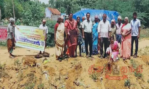 பனை விதைகள் விதைக்கும் நிகழ்ச்சி