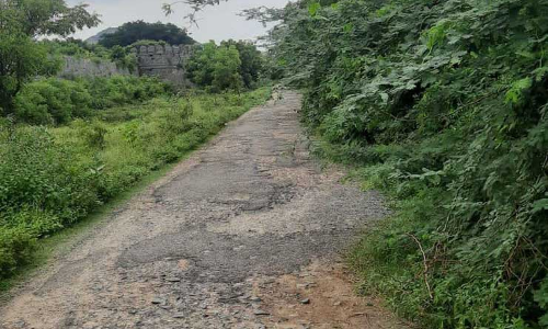 வரலாற்று சிறப்புமிக்க  செஞ்சிக்கோட்டைக்கு செல்லும் சேதம் அடைந்த சாலைகளை சீரமைக்க வேண்டும்    சுற்றுலா பயணிகள் எதிர்பார்ப்பு