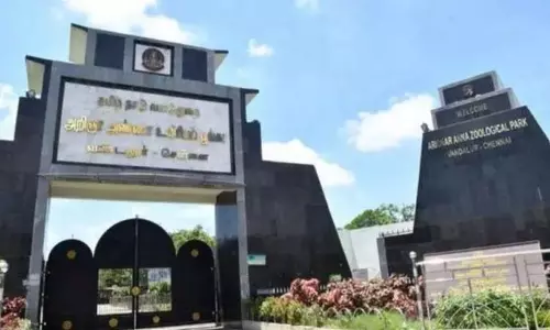 வண்டலூர் உயிரியல் பூங்கா இன்று திறப்பு - பூங்கா நிர்வாகம் வண்டலூர் உயிரியல் பூங்கா இன்று திறப்பு - பூங்கா நிர்வாகம்