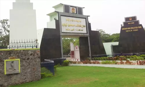 வண்டலூர் அறிஞர் அண்ணா உயிரியல் பூங்கா இன்று திறந்திருக்கும் வண்டலூர் அறிஞர் அண்ணா உயிரியல் பூங்கா இன்று திறந்திருக்கும்