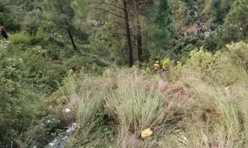 பள்ளத்தாக்கில் பஸ் கவிழ்ந்து 25 பேர் பலி; திருமண நிகழ்ச்சிக்கு சென்ற போது சோகம்