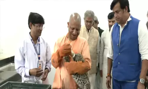 கோரக்பூர் உயிரியல் பூங்காவில் சிறுத்தைக் குட்டிக்கு உணவூட்டிய யோகி ஆதித்யநாத்- வைரல் வீடியோ கோரக்பூர் உயிரியல் பூங்காவில் சிறுத்தைக் குட்டிக்கு உணவூட்டிய யோகி ஆதித்யநாத்- வைரல் வீடியோ