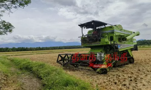 ஆனைமலையில் நெல் அறுவடை பணி தீவிரம்-கொள்முதல் விலை உயர்த்தப்படுமா? விவசாயிகள் எதிர்பார்ப்பு