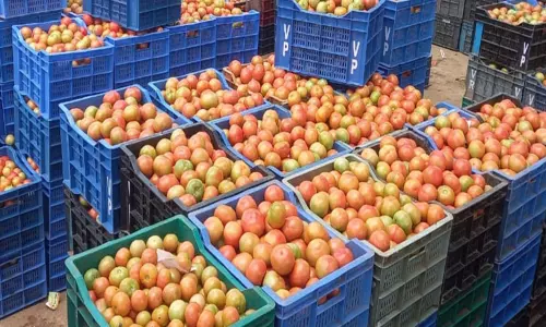 கிணத்துக்கடவு காய்கறி சந்தையில் தக்காளி விலை கிடு கிடு உயர்வு- கிலோ ரூ.36-க்கு விற்பனை