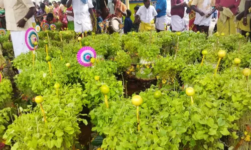 மழைவேண்டி முளைப்பாரி திருவிழா