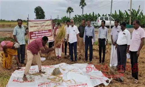 கோபி அருகே மாநில அளவிலான செம்மைநெல் சாகுபடி பயிர் விளைச்சல் போட்டி; கோபி விவசாயிக்கு ரூ.5 லட்சம் பரிசு கோபி அருகே மாநில அளவிலான செம்மைநெல் சாகுபடி பயிர் விளைச்சல் போட்டி; கோபி விவசாயிக்கு ரூ.5 லட்சம் பரிசு