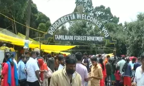 தொடர் விடுமுறையை கொண்டாட ஊட்டியில் குவிந்த சுற்றுலா பயணிகள் தொடர் விடுமுறையை கொண்டாட ஊட்டியில் குவிந்த சுற்றுலா பயணிகள்