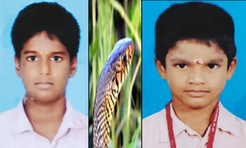 ஆரணியில் பாம்பு கடித்து பள்ளி மாணவர் சாவு; தம்பிக்கு தீவிர சிகிச்சை ஆரணியில் பாம்பு கடித்து பள்ளி மாணவர் சாவு; தம்பிக்கு தீவிர சிகிச்சை