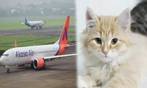 விமானத்தில் இனி செல்லப்பிராணிகள் பயணம் செய்ய அனுமதி- ஆகாசா ஏர் நிறுவனம் அறிவிப்பு