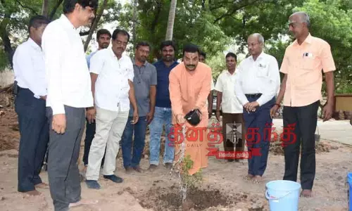 மரக்கன்றுகள் நடும் பணி