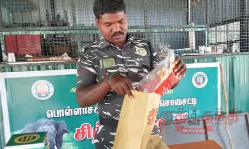 தின்பண்டங்களை காகித பையில் மாற்றி கொடுக்கும் வனத்துறையினர்