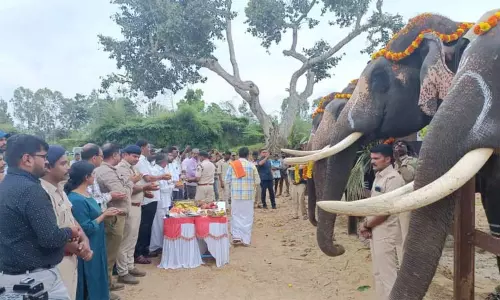 புதிய யானைகள் முகாம் தொடக்கம் புதிய யானைகள் முகாம் தொடக்கம்