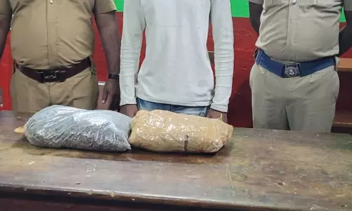 ரெயிலில் கஞ்சா கடத்திய வாலிபர் கைது