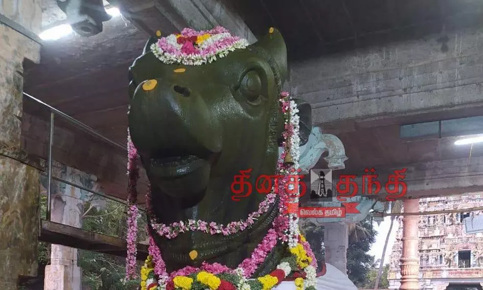 பிரதோஷ சிறப்பு வழிபாடு பிரதோஷ சிறப்பு வழிபாடு