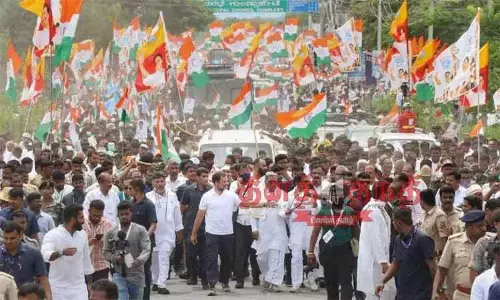 சிக்கமகளூருவில் நடக்கும் ராகுல்காந்தியின் பாதயாத்திரையில் 20 ஆயிரம் பேர் பங்கேற்பு - மாவட்ட காங்கிரஸ் தலைவர் தகவல்