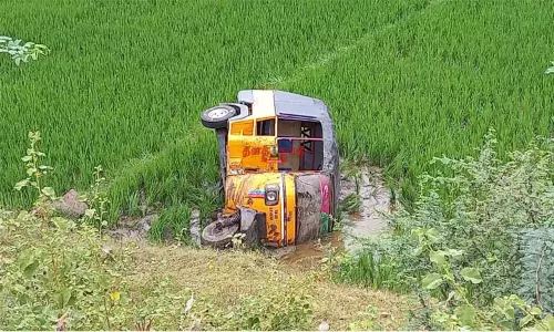 தர்மபுரி: துக்க நிகழ்ச்சிக்கு சென்ற ஆட்டோ வயலில் கவிழ்ந்து விபத்து - பெண்கள் உட்பட 8 பேர் காயம்