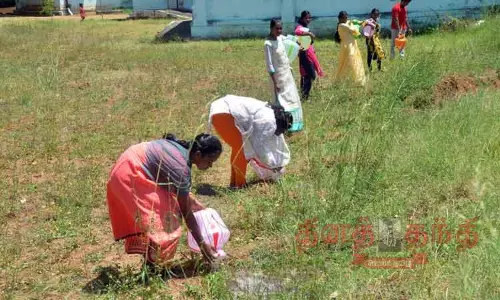 விடுமுறை நாட்களில் மரக்கன்றுகள் நட்டு பராமரிப்பு விடுமுறை நாட்களில் மரக்கன்றுகள் நட்டு பராமரிப்பு