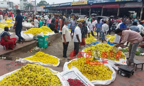 தர்மபுரி சந்தையில் பூக்கள் விலை வீழ்ச்சி  விவசாயிகள் கவலை