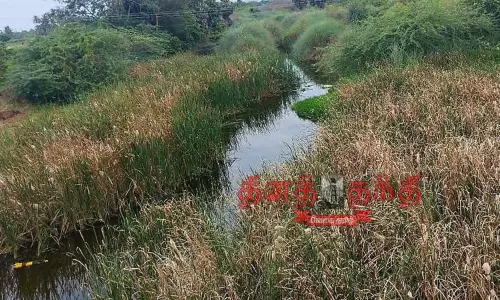 ஆக்கிரமிப்புகளால் அழிவை நோக்கி செல்லும் மருதையாறு