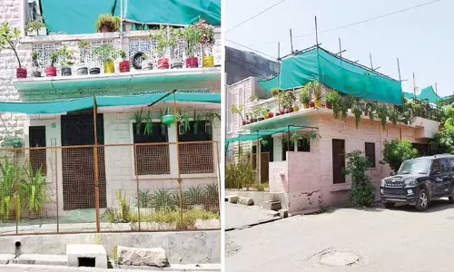 மறுசுழற்சி பொருட்களில் மலரும் மாடித்தோட்டம்