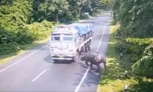 வேகமாக வந்த லாரியில் காண்டாமிருகம் மோதும் காட்சி: டுவிட்டரில் வீடியோவை பகிர்ந்து எச்சரிக்கை விடுத்த அசாம் முதல்-மந்திரி