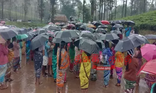 சிங்கோனா டேன்டீயை மூடும் முடிவை கைவிட வேண்டும்:  தெளிவான தகவலை அறிவிக்கக்கோரி தொழிலாளர்கள் போராட்டம் நடத்த முடிவு-கொட்டும் மழையில் ஆலோசனையில் ஈடுபட்டனர்