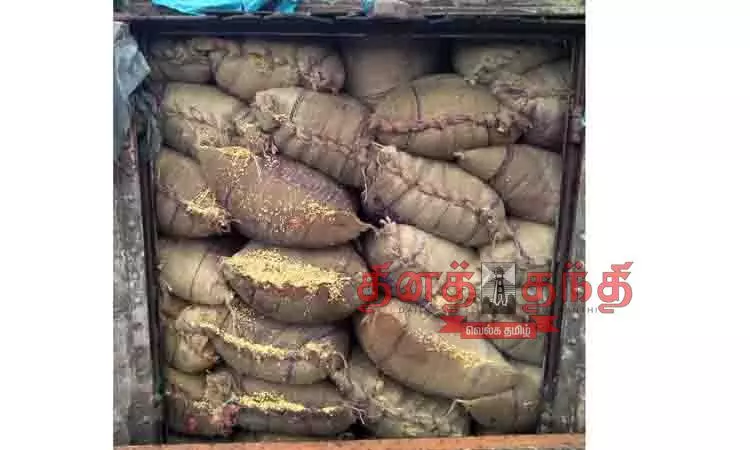 புதுக்கோட்டைக்கு சரக்கு ரெயிலில் 2 ஆயிரம் மெட்ரிக் டன் நெல் மூட்டைகள் வந்தன புதுக்கோட்டைக்கு சரக்கு ரெயிலில் 2 ஆயிரம் மெட்ரிக் டன் நெல் மூட்டைகள் வந்தன