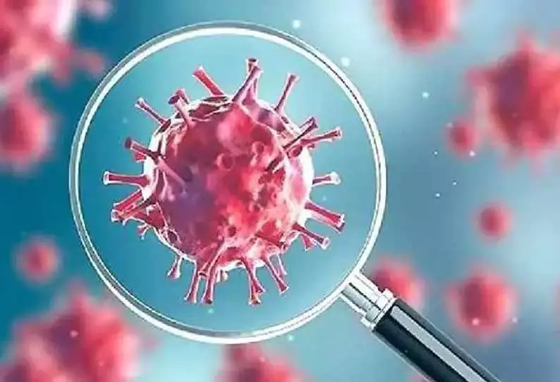 13-வது நாளாக பாதிப்பு குறைவு தமிழகத்தில் 329 பேருக்கு கொரோனா 13-வது நாளாக பாதிப்பு குறைவு தமிழகத்தில் 329 பேருக்கு கொரோனா