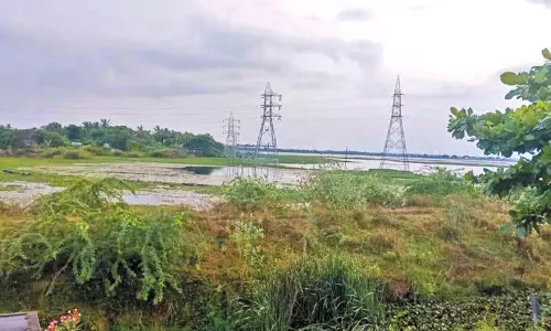 நீண்ட காலமாக தூர்வார படாத திருநின்றவூர் பெரிய ஏரி - குடியிருப்பில் தண்ணீர் புகுவதால் பொதுமக்கள் அவதி