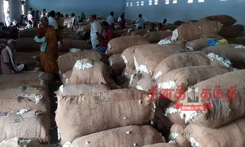 ரூ.31 லட்சத்துக்கு பருத்தி ஏலம்