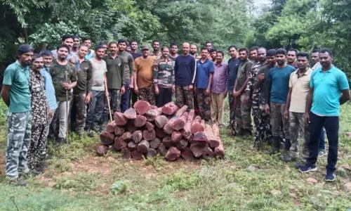 திருப்பதி அருகே ரூ.70 லட்சம் மதிப்புள்ள செம்மர கட்டைகள் பறிமுதல் - தப்பி ஓடியவர்களுக்கு வலைவீச்சு