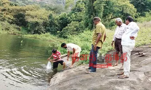 ஆழியாறு அணையில் ஒரு லட்சம் மீன் குஞ்சுகள் விடப்பட்டன-அதிகாரிகள் தகவல்