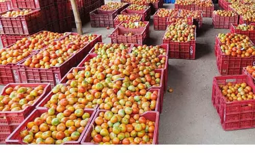 வரத்து குறைவால் தக்காளி விலை உயர்வு