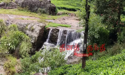 கோத்தகிரியில் அருவிகளாக மாறிய நீரோடைகள்-சுற்றுலா பயணிகளை கவர்கிறது