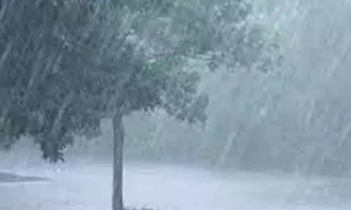 குமரியில் மழை நீடிப்பு குமரியில் மழை நீடிப்பு