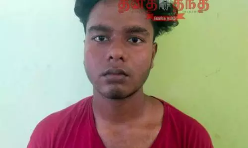 வீட்டில் கஞ்சா செடி வளர்த்த வாலிபர் கைது