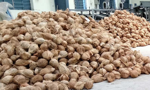 ரூ.9¾ லட்சத்துக்கு தேங்காய் பருப்பு ஏலம்