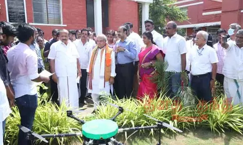 தமிழகத்தில் தென்னை விவசாயத்தை மேம்படுத்த மத்திய அரசு உதவி செய்யும்