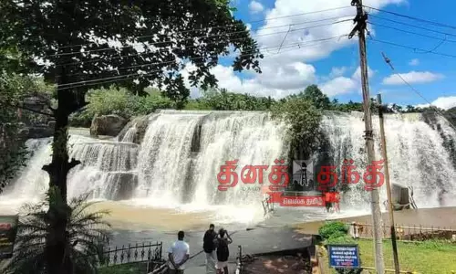 திற்பரப்பு அருவியில் தண்ணீர் வரத்து அதிகரிப்பு