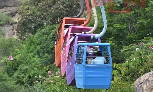 பழனி மலைக்கோவிலுக்கு சென்ற ரோப்கார் பெட்டி ஒன்று பாறையில் உரசியதால் பரபரப்பு; பக்தர்கள் அதிர்ச்சி