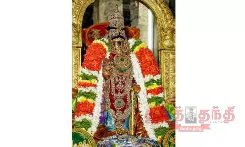 ஊஞ்சல் உற்சவம் கண்டருளிய நம்பெருமாள்