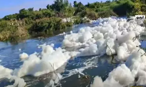 தென்பெண்ணை ஆற்றில் திறந்துவிடப்பட்ட ரசாயண கழிவுகள் - சுற்றுச்சூழல் ஆர்வலர்கள் கவலை தென்பெண்ணை ஆற்றில் திறந்துவிடப்பட்ட ரசாயண கழிவுகள் - சுற்றுச்சூழல் ஆர்வலர்கள் கவலை