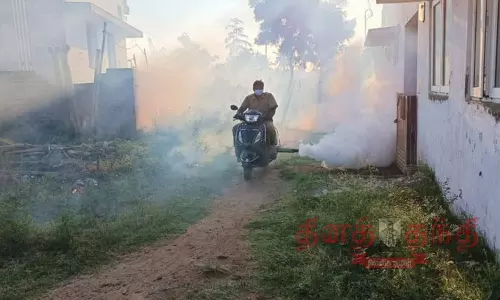 டெங்கு தடுப்பு பணி தீவிரம்