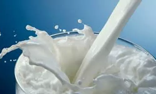 ஆவின் பெண் ஊழியர் உள்பட 3 பேர் பணியிடை நீக்கம்