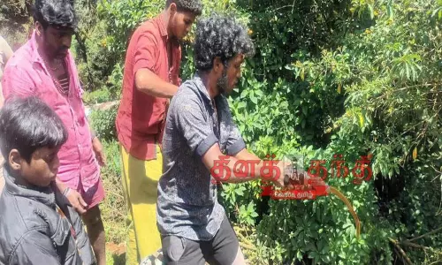 விற்பனைக்கு வைத்திருந்த 30 லிட்டர் கலப்பட தேன் அழிப்பு