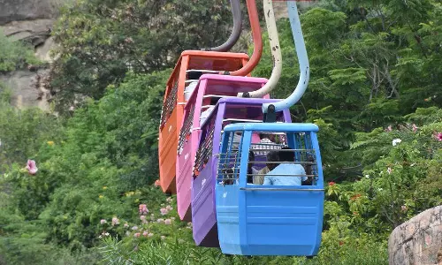 பழனி முருகன் கோவிலில் ரோப்கார் சேவை நாளை நிறுத்தம்