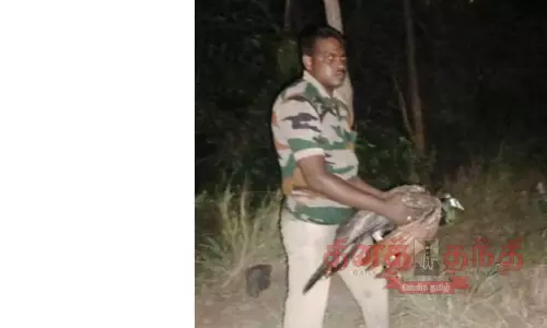 அஞ்சுகிராமம் அருகே கிணற்றில் தவறி விழுந்த மயில் மீட்பு அஞ்சுகிராமம் அருகே கிணற்றில் தவறி விழுந்த மயில் மீட்பு