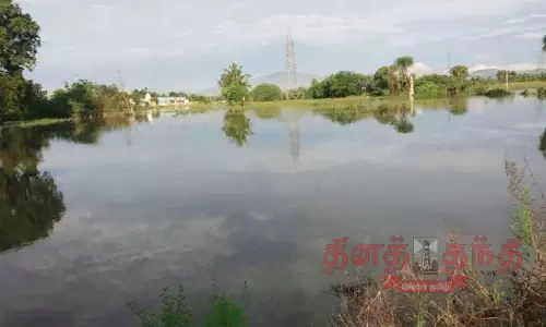 சேலம் மாவட்டத்தில், கொட்டித்தீர்த்த கனமழை:  நெல், மரவள்ளிக்கிழங்கு பயிர்கள் தண்ணீரில் மூழ்கின; விவசாயிகள் கவலை