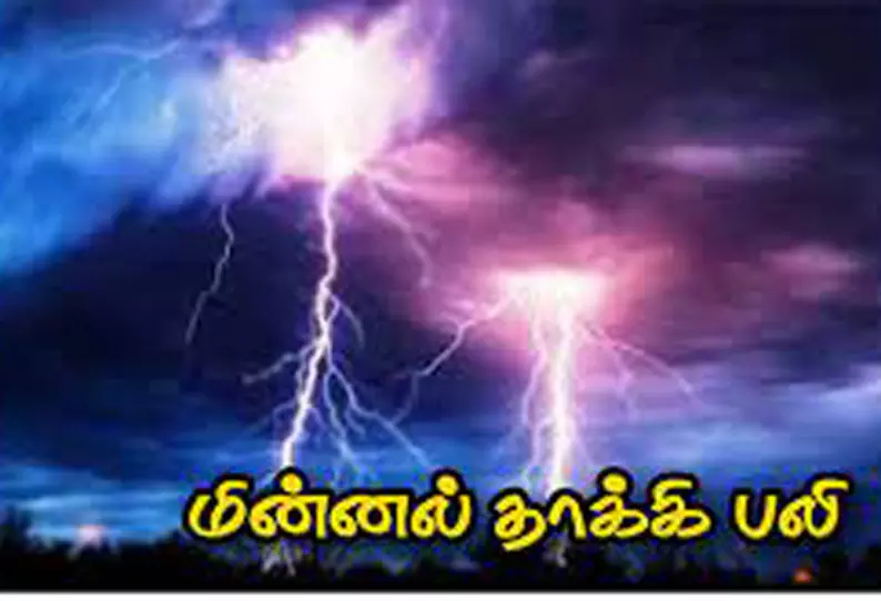 மின்னல் தாக்கி சிறுமி உள்பட 2 பேர் பலி மின்னல் தாக்கி சிறுமி உள்பட 2 பேர் பலி